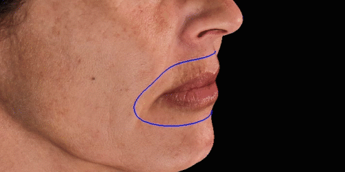 Simulācijas animācija