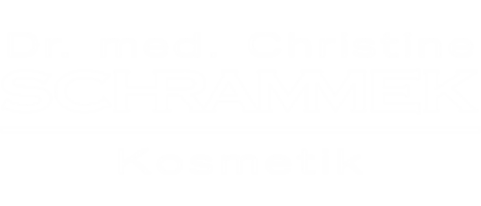 schramec_logo